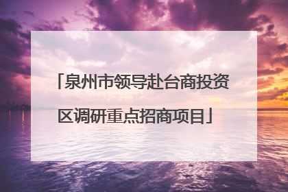 泉州市领导赴台商投资区调研重点招商项目