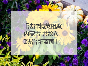 法律精英相聚内蒙古 共绘AI法治新蓝图