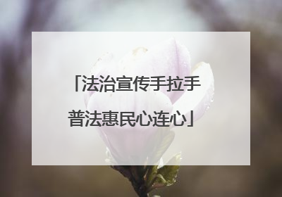 法治宣传手拉手 普法惠民心连心