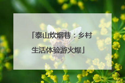泰山炊烟巷：乡村生活体验游火爆