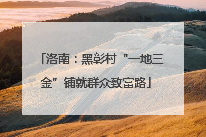 洛南：黑彰村“一地三金”铺就群众致富路
