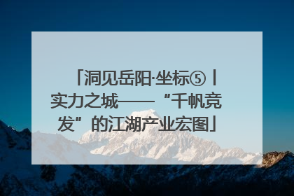 洞见岳阳·坐标⑤丨实力之城——“千帆竞发”的江湖产业宏图