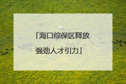 海口综保区释放强劲人才引力