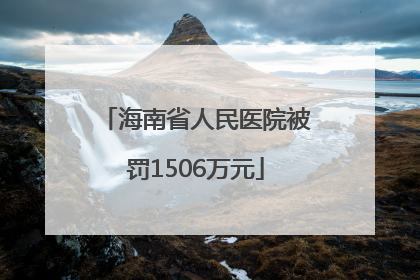 海南省人民医院被罚1506万元