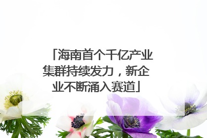 海南首个千亿产业集群持续发力，新企业不断涌入赛道