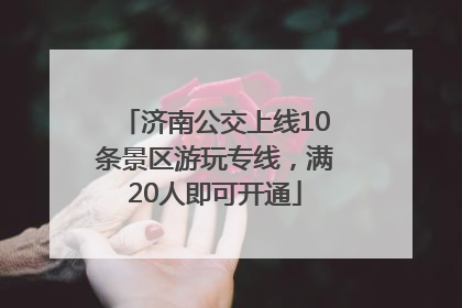 济南公交上线10条景区游玩专线，满20人即可开通