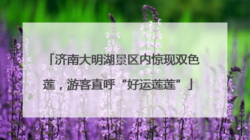 济南大明湖景区内惊现双色莲，游客直呼“好运莲莲”