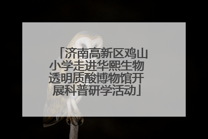 济南高新区鸡山小学走进华熙生物透明质酸博物馆开展科普研学活动