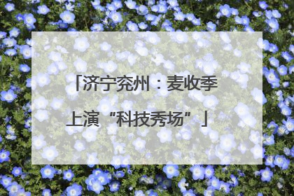 济宁兖州：麦收季上演“科技秀场”
