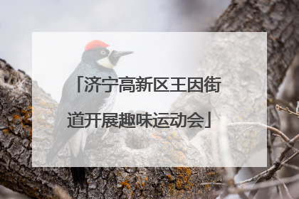 济宁高新区王因街道开展趣味运动会