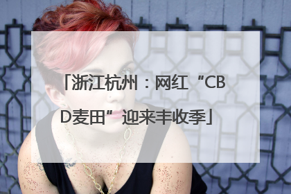 浙江杭州：网红“CBD麦田”迎来丰收季