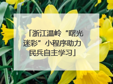 浙江温岭“曙光迷彩”小程序助力民兵自主学习