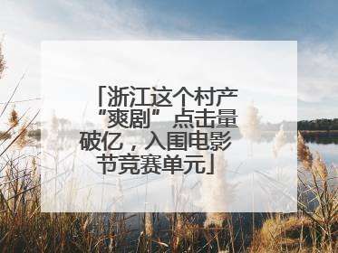 浙江这个村产“爽剧”点击量破亿，入围电影节竞赛单元