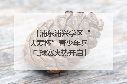 浦东浦兴学区“大爱杯”青少年乒乓球赛火热开启