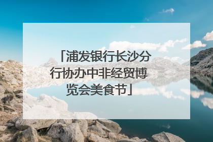 浦发银行长沙分行协办中非经贸博览会美食节