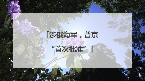 涉俄海军，普京“首次批准”