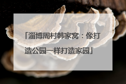 淄博周村韩家窝：像打造公园一样打造家园