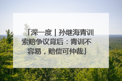 深一度｜孙继海青训索赔争议背后：青训不容易，赔偿可仲裁