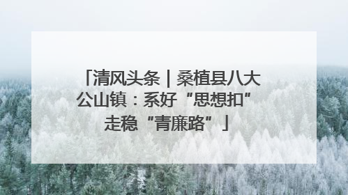 清风头条｜桑植县八大公山镇：系好“思想扣” 走稳“青廉路”