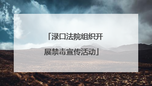 渌口法院组织开展禁毒宣传活动