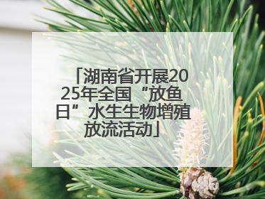 湖南省开展2025年全国“放鱼日”水生生物增殖放流活动