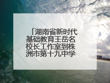 湖南省新时代基础教育王岳名校长工作室到株洲市第十九中学开展研修活动