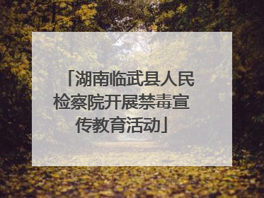 湖南临武县人民检察院开展禁毒宣传教育活动