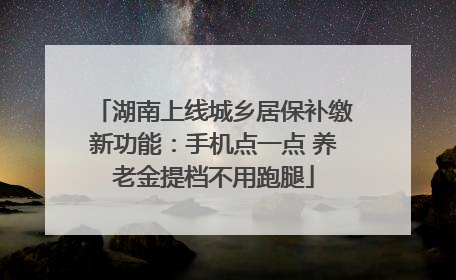湖南上线城乡居保补缴新功能：手机点一点 养老金提档不用跑腿