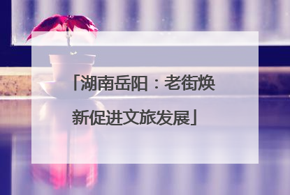 湖南岳阳：老街焕新促进文旅发展