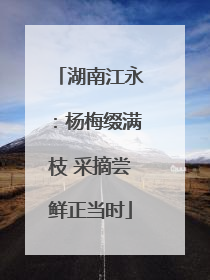 湖南江永：杨梅缀满枝 采摘尝鲜正当时