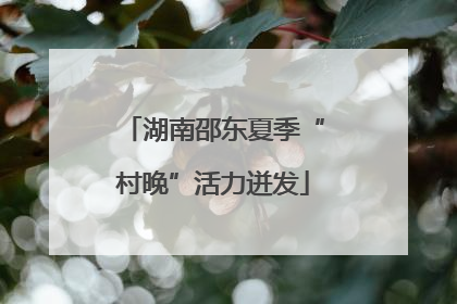 湖南邵东夏季“村晚”活力迸发