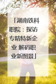 湖南铁科职院：探访专精特新企业 解码职业新图景