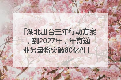 湖北出台三年行动方案，到2027年，年寄递业务量将突破80亿件