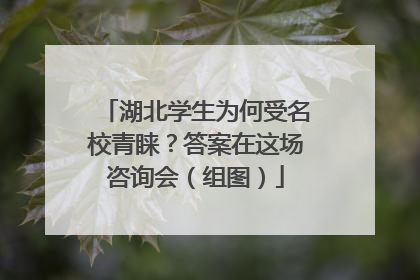 湖北学生为何受名校青睐？答案在这场咨询会（组图）