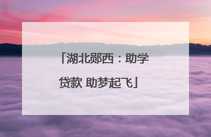 湖北郧西：助学贷款 助梦起飞