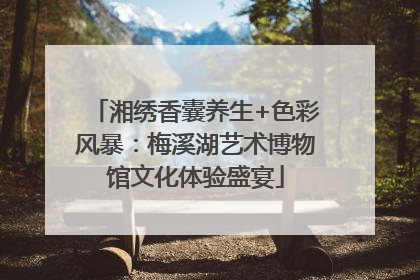湘绣香囊养生+色彩风暴：梅溪湖艺术博物馆文化体验盛宴