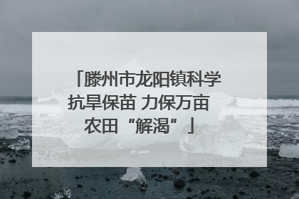 滕州市龙阳镇科学抗旱保苗 力保万亩农田“解渴”