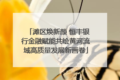 滩区焕新颜 恒丰银行金融赋能共绘黄河流域高质量发展新画卷