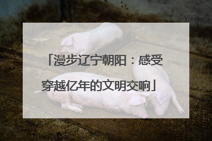 漫步辽宁朝阳：感受穿越亿年的文明交响