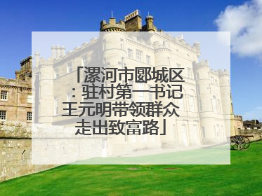 漯河市郾城区：驻村第一书记王元明带领群众走出致富路
