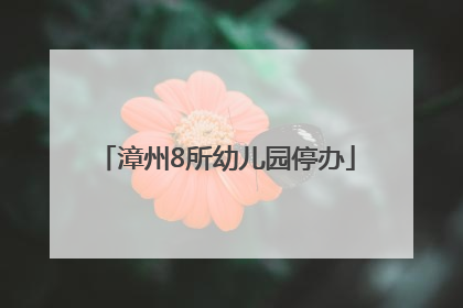 漳州8所幼儿园停办