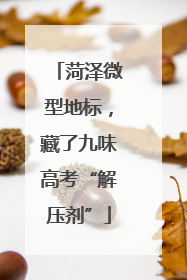 菏泽微型地标，藏了九味高考“解压剂”