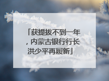 获提拔不到一年，内蒙古银行行长洪少平再履新