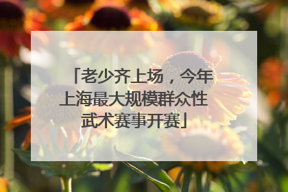 老少齐上场，今年上海最大规模群众性武术赛事开赛