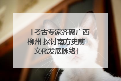 考古专家齐聚广西柳州 探讨南方史前文化发展脉络