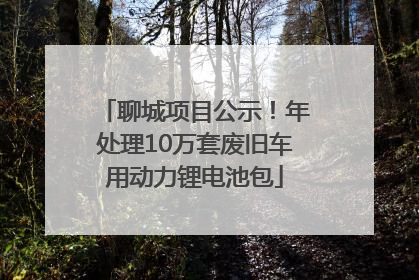 聊城项目公示！年处理10万套废旧车用动力锂电池包