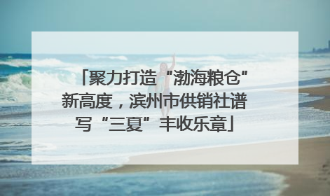 聚力打造“渤海粮仓”新高度，滨州市供销社谱写“三夏”丰收乐章