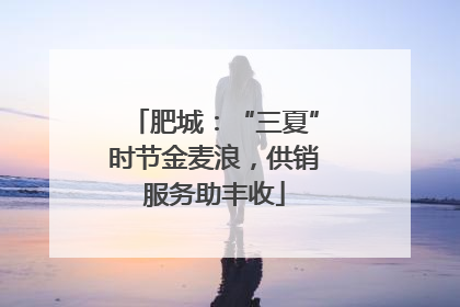 肥城：“三夏”时节金麦浪，供销服务助丰收