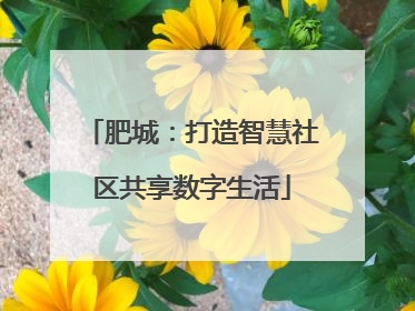 肥城：打造智慧社区共享数字生活