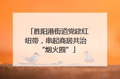胜阳港街道党建红纽带，串起商居共治 “烟火圈”